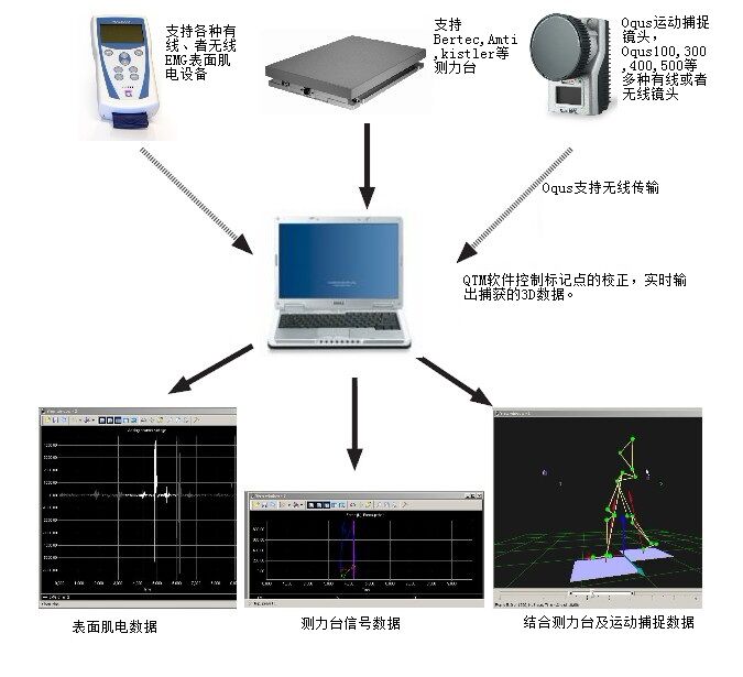 視覺驅(qū)動(dòng)的步態(tài)診斷 揭秘VISUAL3D運(yùn)動(dòng)捕捉技術(shù)的臨床價(jià)值與網(wǎng)絡(luò)技術(shù)服務(wù)的融合