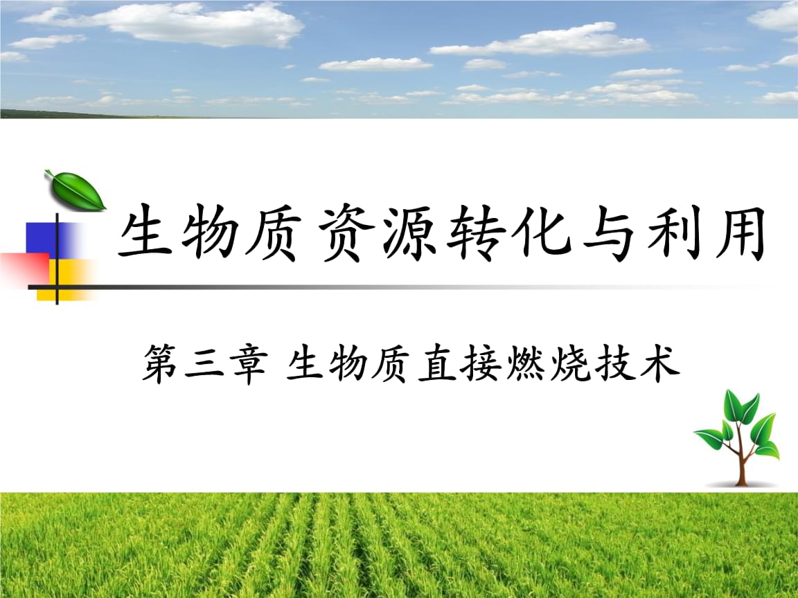 生物質(zhì)資源的高效轉(zhuǎn)化與創(chuàng)新應(yīng)用展望